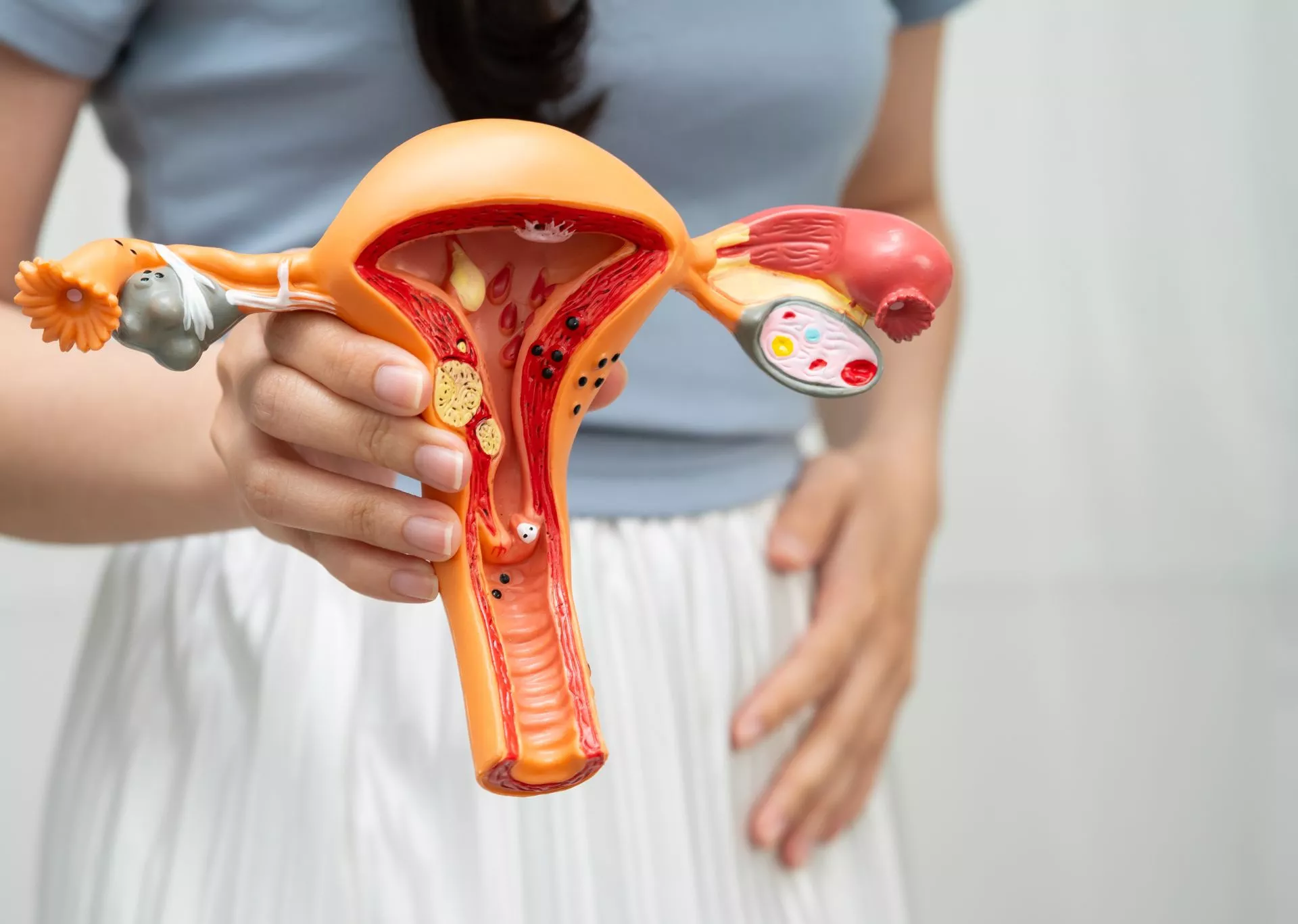 Sonde périnéale en physiothérapie uro-gynécologique chez Physio Clinics